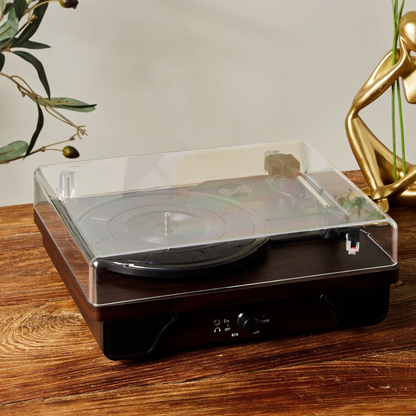 T03L Vintage Chinese Turntable with Multi-Function Design